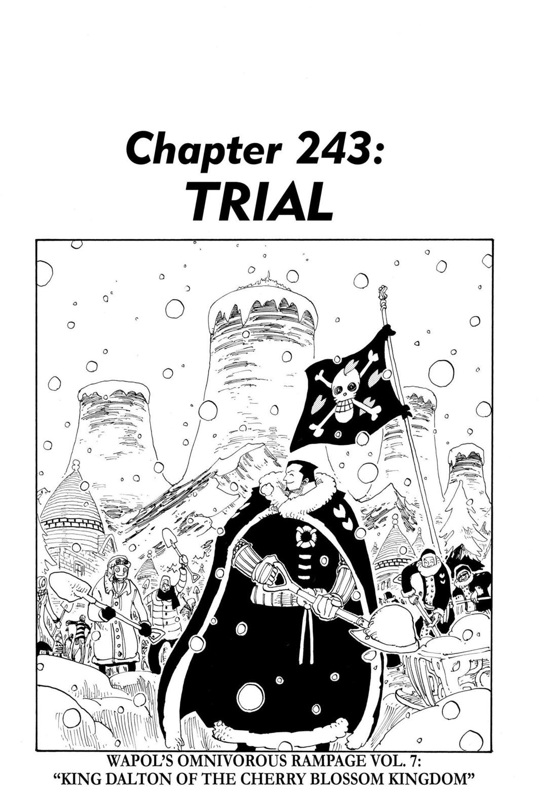 chapter243